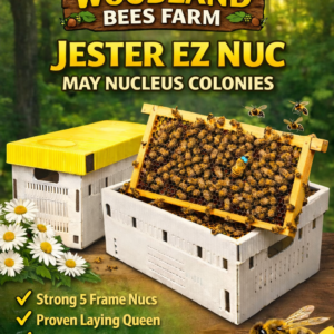 May 2026 – 5 Frame Nucleus Colony