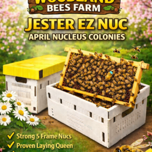 April 2026 – 5 Frame Nucleus Colony